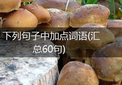 下列句子中加点词语(汇总60句)
