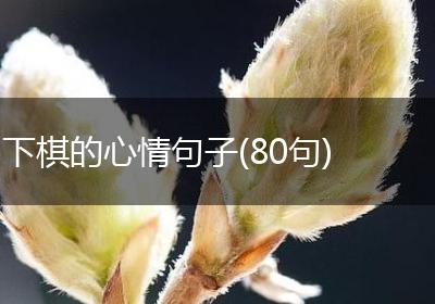 下棋的心情句子(80句)