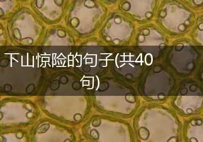 下山惊险的句子(共40句)