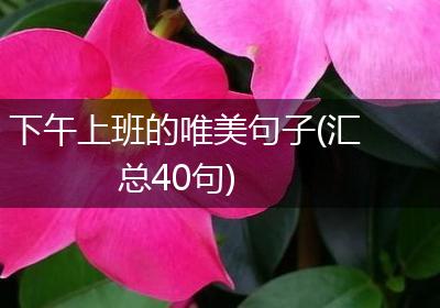 下午上班的唯美句子(汇总40句)