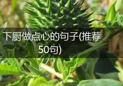下厨做点心的句子(推荐50句)