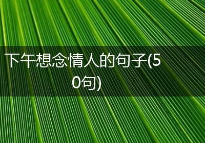 下午想念情人的句子(50句)