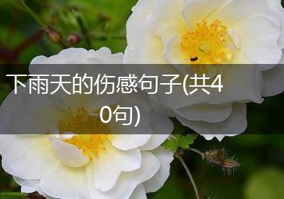 下雨天的伤感句子(共40句)