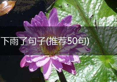 下雨了句子(推荐50句)
