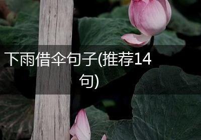 下雨借伞句子(推荐14句)