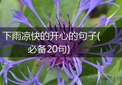 下雨凉快的开心的句子(必备20句)