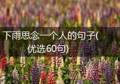 下雨思念一个人的句子(优选60句)