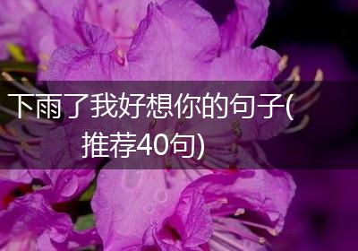 下雨了我好想你的句子(推荐40句)