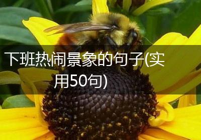 下班热闹景象的句子(实用50句)