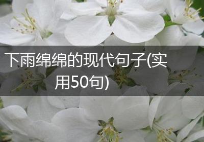 下雨绵绵的现代句子(实用50句)