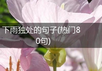 下雨独处的句子(热门80句)