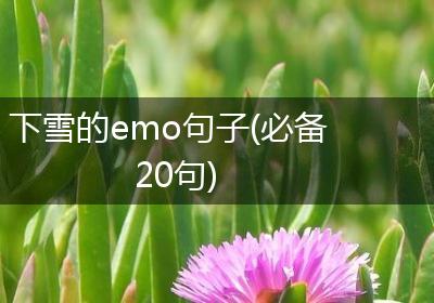 下雪的emo句子(必备20句)
