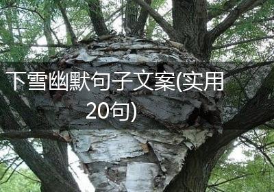 下雪幽默句子文案(实用20句)
