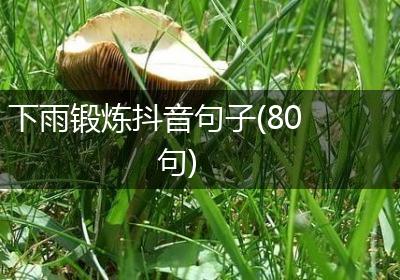 下雨锻炼抖音句子(80句)