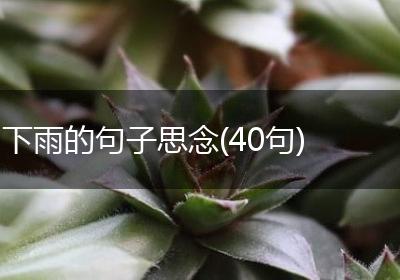 下雨的句子思念(40句)