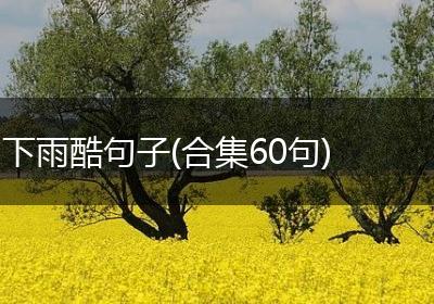 下雨酷句子(合集60句)