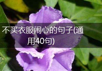 不买衣服闹心的句子(通用40句)