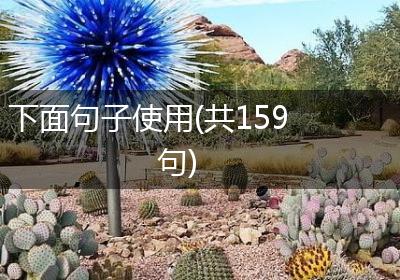 下面句子使用(共159句)