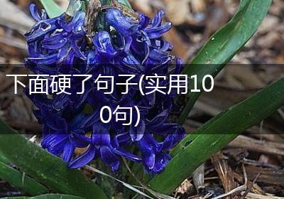 下面硬了句子(实用100句)