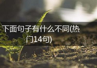 下面句子有什么不同(热门14句)