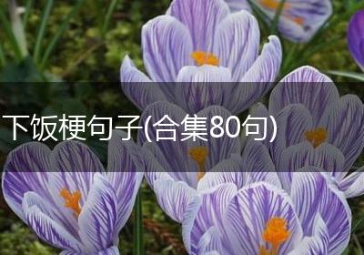 下饭梗句子(合集80句)