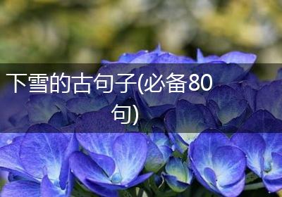 下雪的古句子(必备80句)