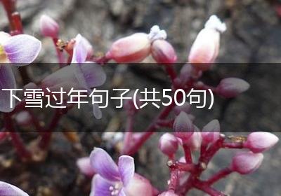 下雪过年句子(共50句)