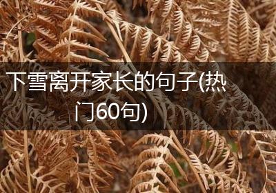 下雪离开家长的句子(热门60句)