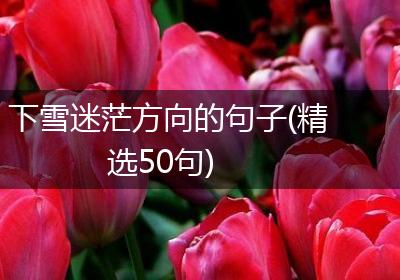 下雪迷茫方向的句子(精选50句)