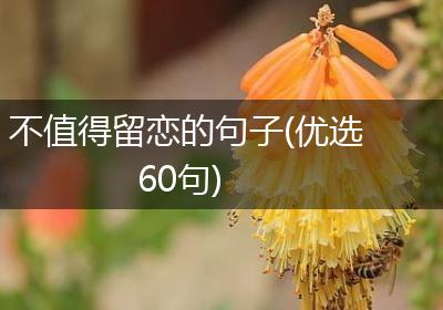 不值得留恋的句子(优选60句)