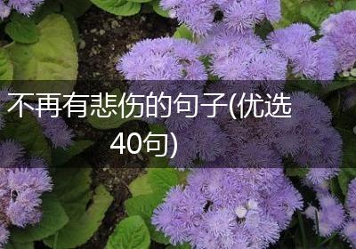 不再有悲伤的句子(优选40句)