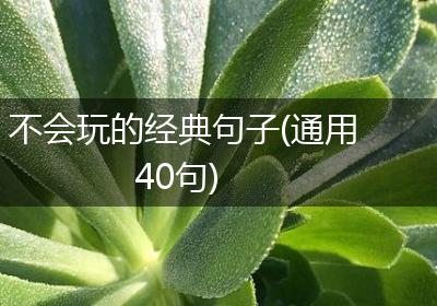 不会玩的经典句子(通用40句)