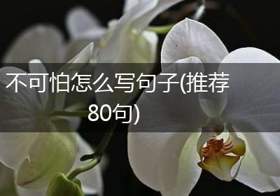 不可怕怎么写句子(推荐80句)