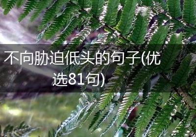 不向胁迫低头的句子(优选81句)