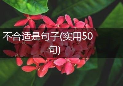 不合适是句子(实用50句)