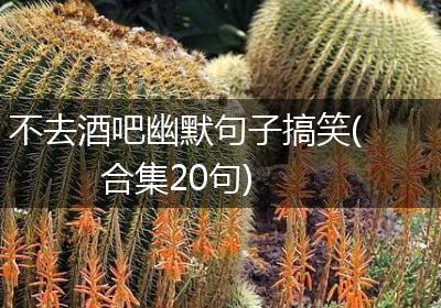 不去酒吧幽默句子搞笑(合集20句)