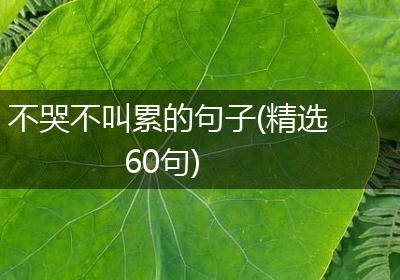 不哭不叫累的句子(精选60句)