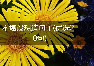 不堪设想造句子(优选20句)