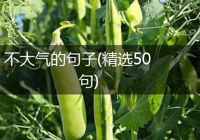 不大气的句子(精选50句)