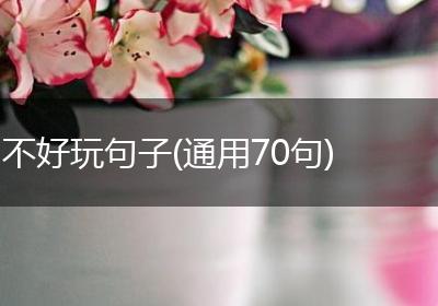 不好玩句子(通用70句)