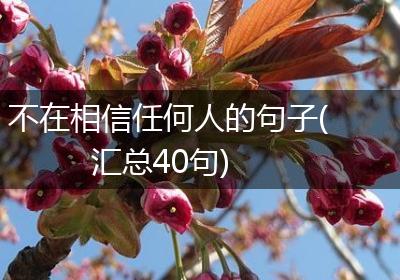 不在相信任何人的句子(汇总40句)