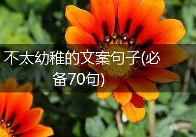 不太幼稚的文案句子(必备70句)