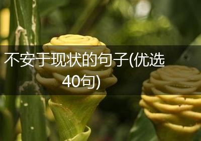 不安于现状的句子(优选40句)