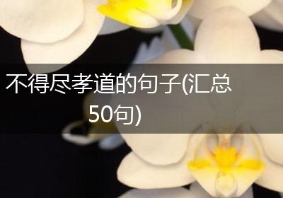 不得尽孝道的句子(汇总50句)