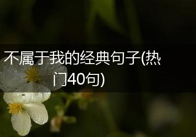 不属于我的经典句子(热门40句)