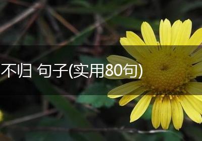 不归 句子(实用80句)