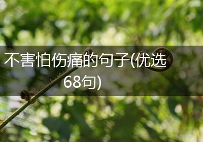 不害怕伤痛的句子(优选68句)