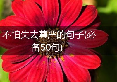 不怕失去尊严的句子(必备50句)
