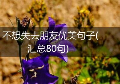 不想失去朋友优美句子(汇总80句)