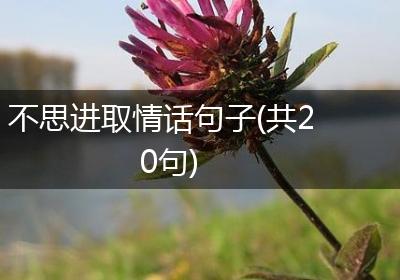 不思进取情话句子(共20句)